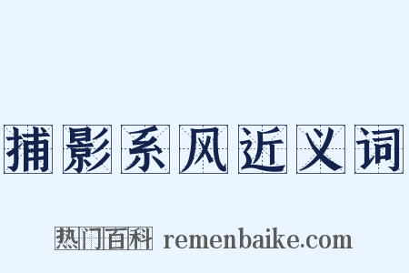 捕影系风近义词是什么意思的图片